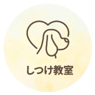 しつけ教室