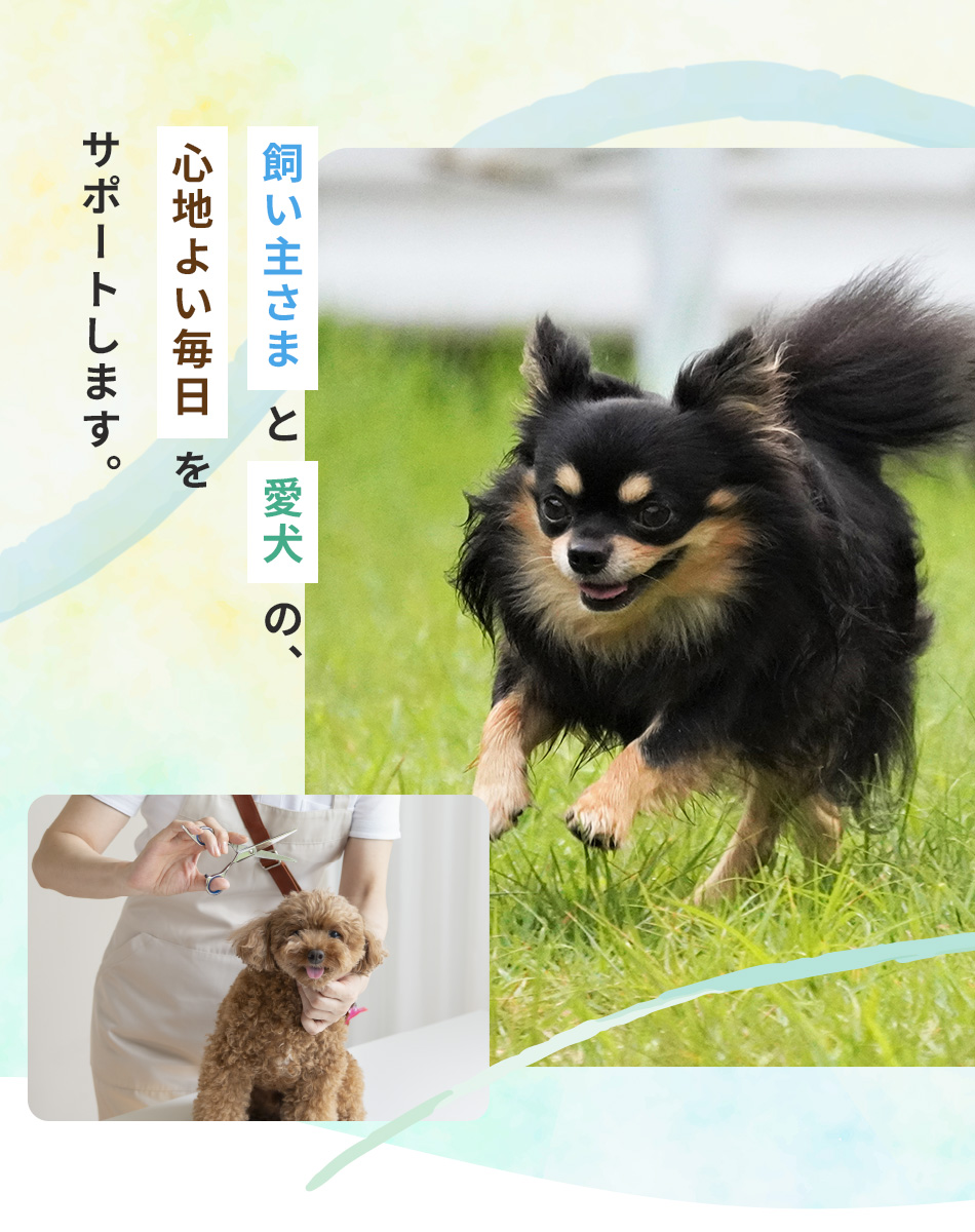 飼い主さまと愛犬の心地よい毎日をサポートします。